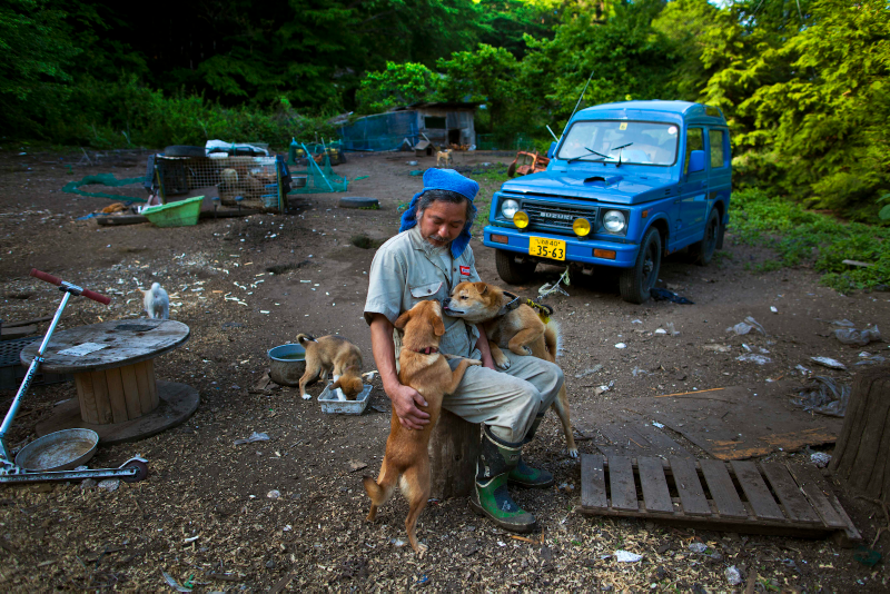 Illustration for article titled The cars of the Fukushima Nuclear Exclusion Zone